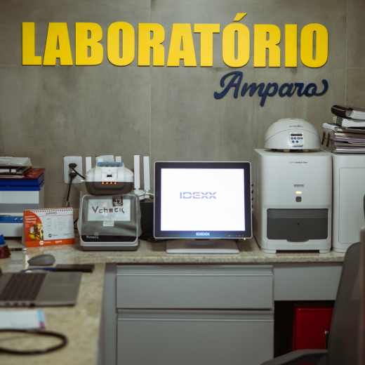 site amparo (13)